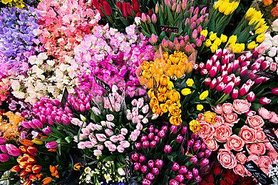 《极限竞速Motorsport》更新#10将分为两个阶段推出