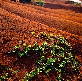 《龙腾世纪：影障守护者》被玩家投票为2024年最失望游戏